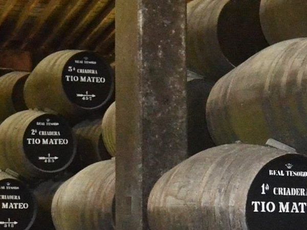 Excursion to Jerez de la Frontera from Seville