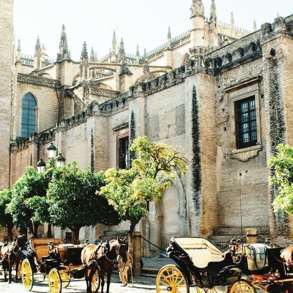 Visit Seville in one day