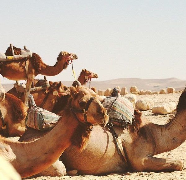 Visit Morocco from Seville