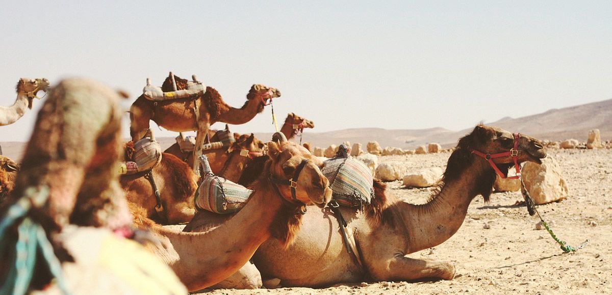 Visit Morocco from Seville