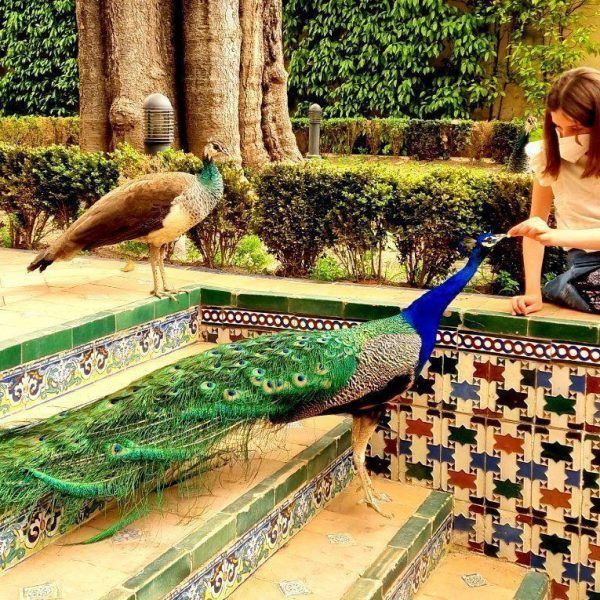children in Seville