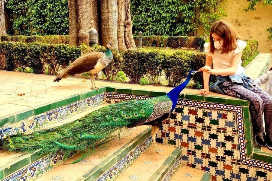 children in Seville