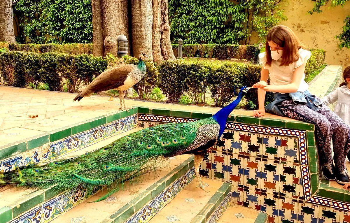 children in Seville