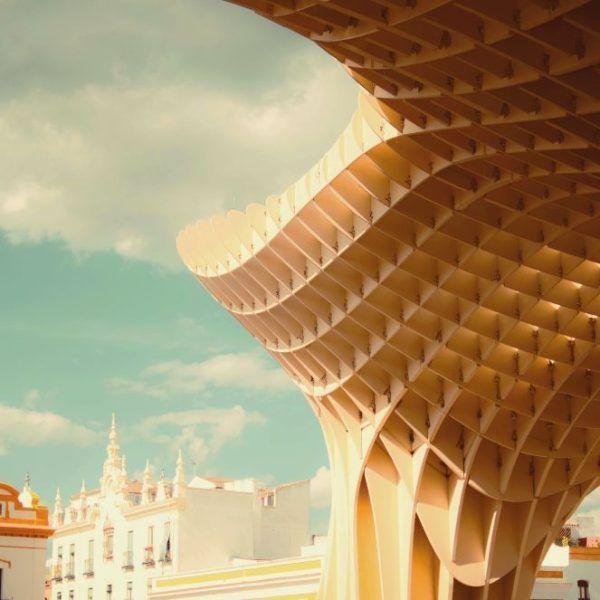 Setas de Sevilla